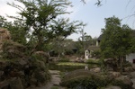 dsc_6788.jpg