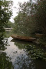 dsc_7013.jpg