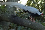 dsc_7089.jpg