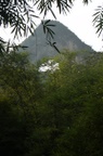 Moon Hill
