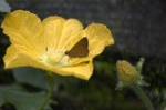 dsc_7828.jpg