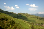 dsc_7843.jpg