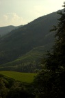 dsc_7847.jpg