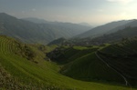 dsc_7876.jpg