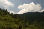 Almost alpine