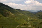 dsc_7925.jpg