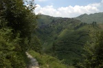 dsc_7935.jpg