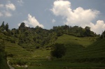 Zhongliu village. A couple hours walk from Longsheng