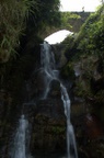 dsc_7942.jpg