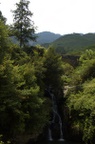dsc_7945.jpg