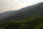 dsc_7964.jpg