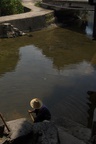 dsc_8051.jpg