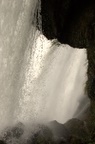 dsc_8284.jpg