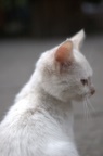 dsc_8359.jpg
