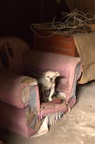 'Is it lunchtime yet or can I go back to sleep?'
