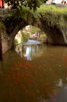 dsc_8427.jpg