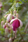 dsc_8472.jpg