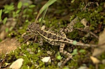 dsc_8505.jpg