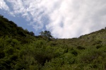 dsc_8514.jpg