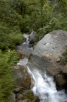 dsc_8542.jpg
