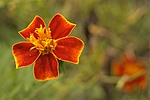 dsc_8558.jpg