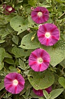 dsc_8572.jpg