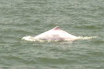 dsc_7362.jpg