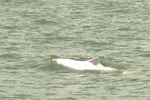 dsc_7367.jpg