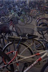 Bikes at Lantau ferry terminal