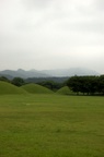 dsc_6578.jpg