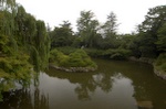 dsc_6615.jpg