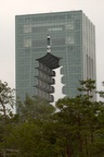 dsc_6626.jpg