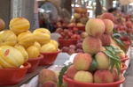 Millions of peaches, peaches for me!.... and a few weird yellow things.