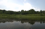 dsc_6705.jpg
