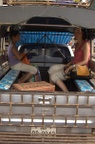 Taking a 'sawngthaew' is the best way to get around rural Laos