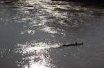 dsc_8758.jpg