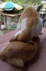Interesting sleeping position