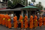 dsc_9381.jpg