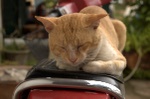 Some still find a place to sleep though