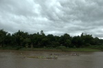 dsc_9312.jpg
