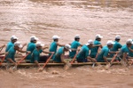 Row!