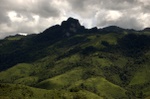 dsc_9517.jpg