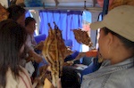 BUY MY MEAT ON A STICK!