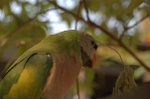 dsc_9746.jpg