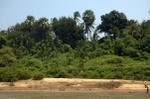 dsc_9826.jpg
