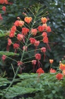 dsc_9883.jpg