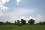 dsc_9966.jpg