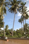 dsc_9995.jpg