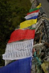 dsc_4275.jpg