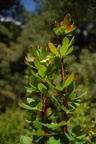 dsc_4309.jpg